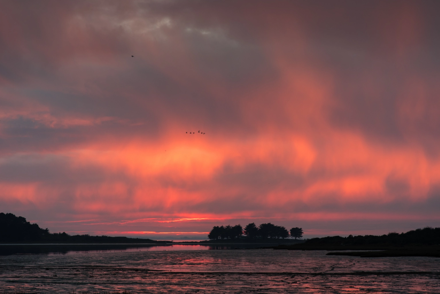 Golfe du Morbihan